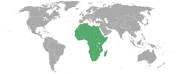 Afrique sur la carte du monde