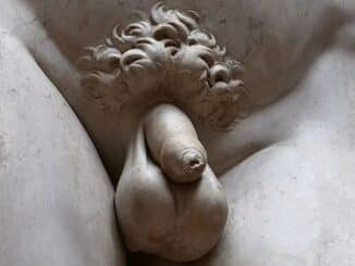david sculpture michel ange organes sexuels