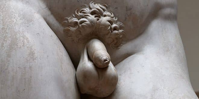 david sculpture michel ange organes sexuels